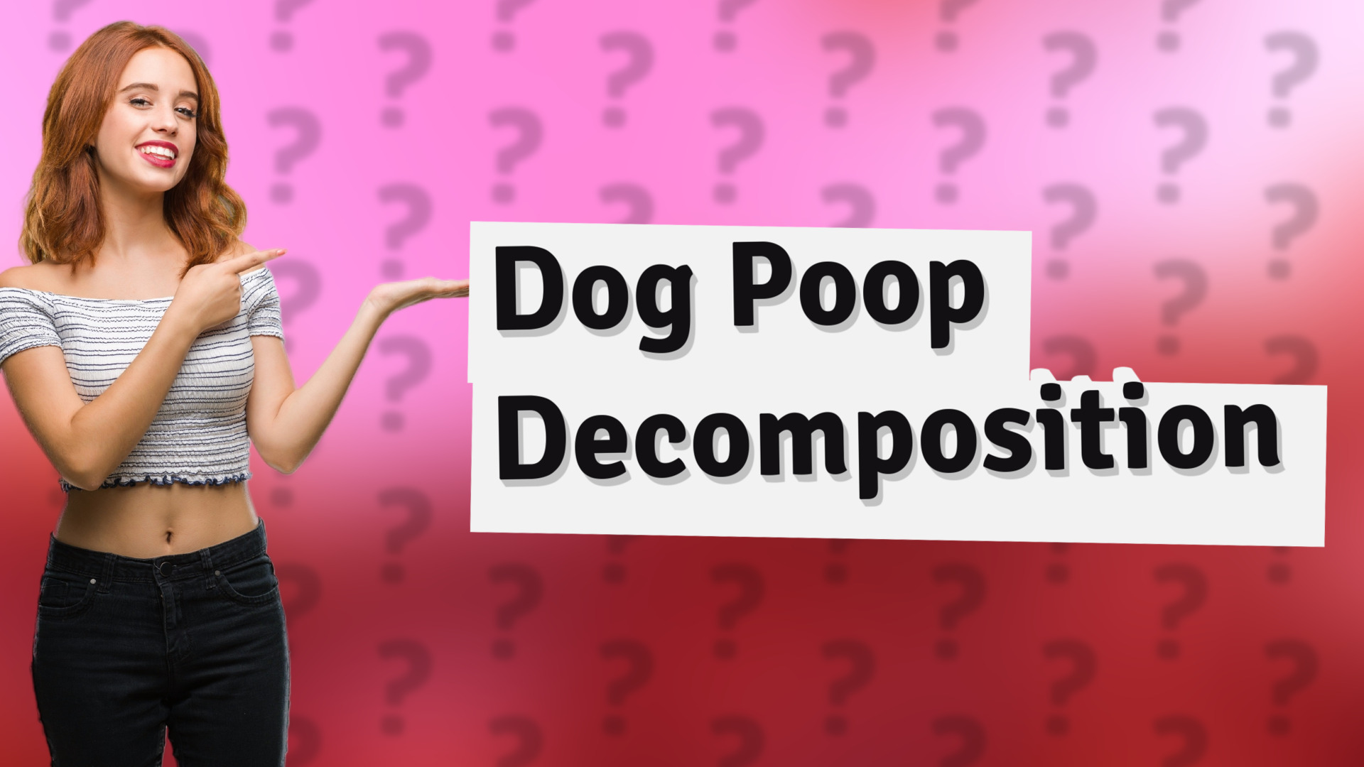 Dog Poop Decomposition