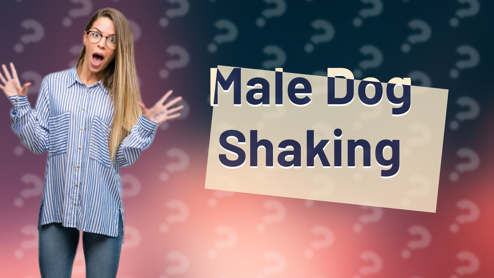 Male Dog Shaking