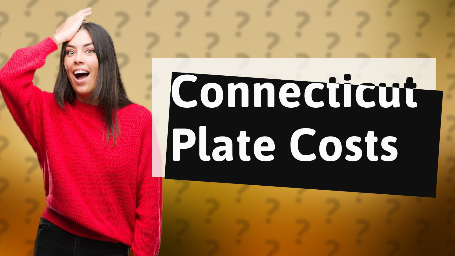Connecticut Plate Costs