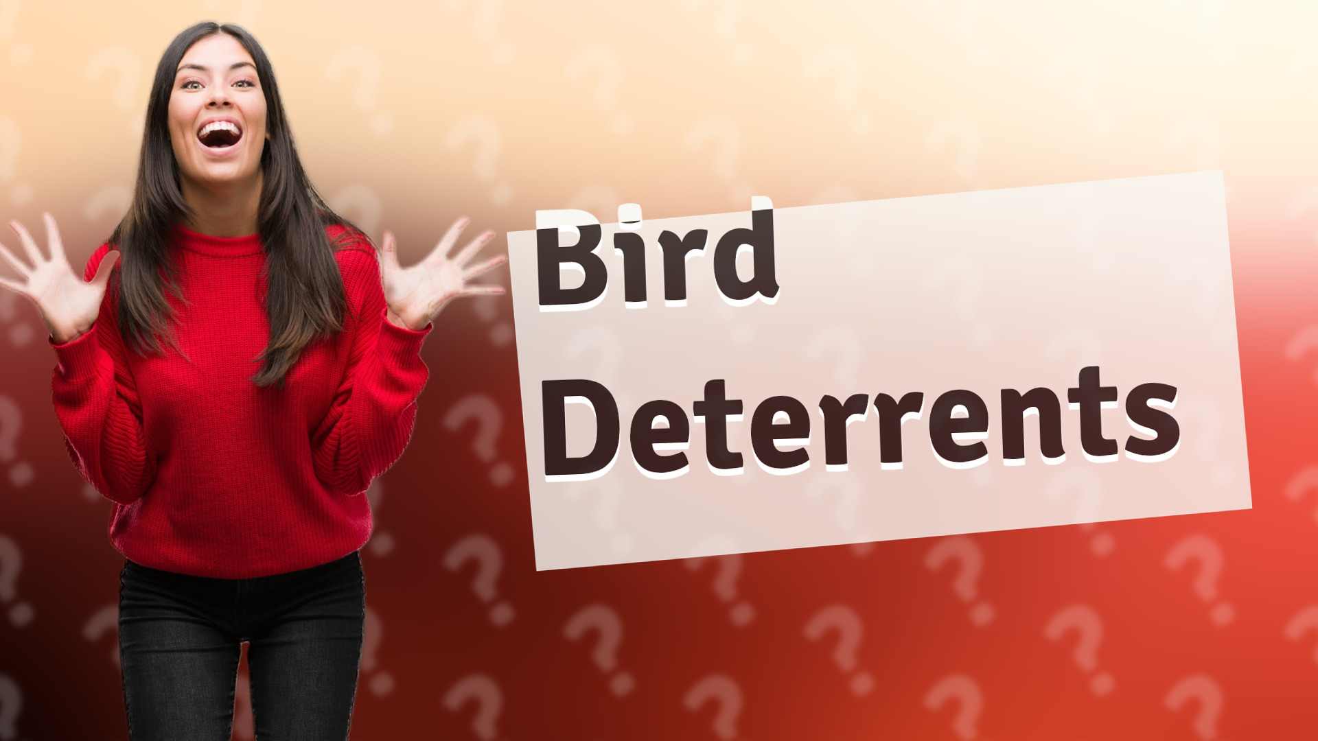 Bird Deterrents