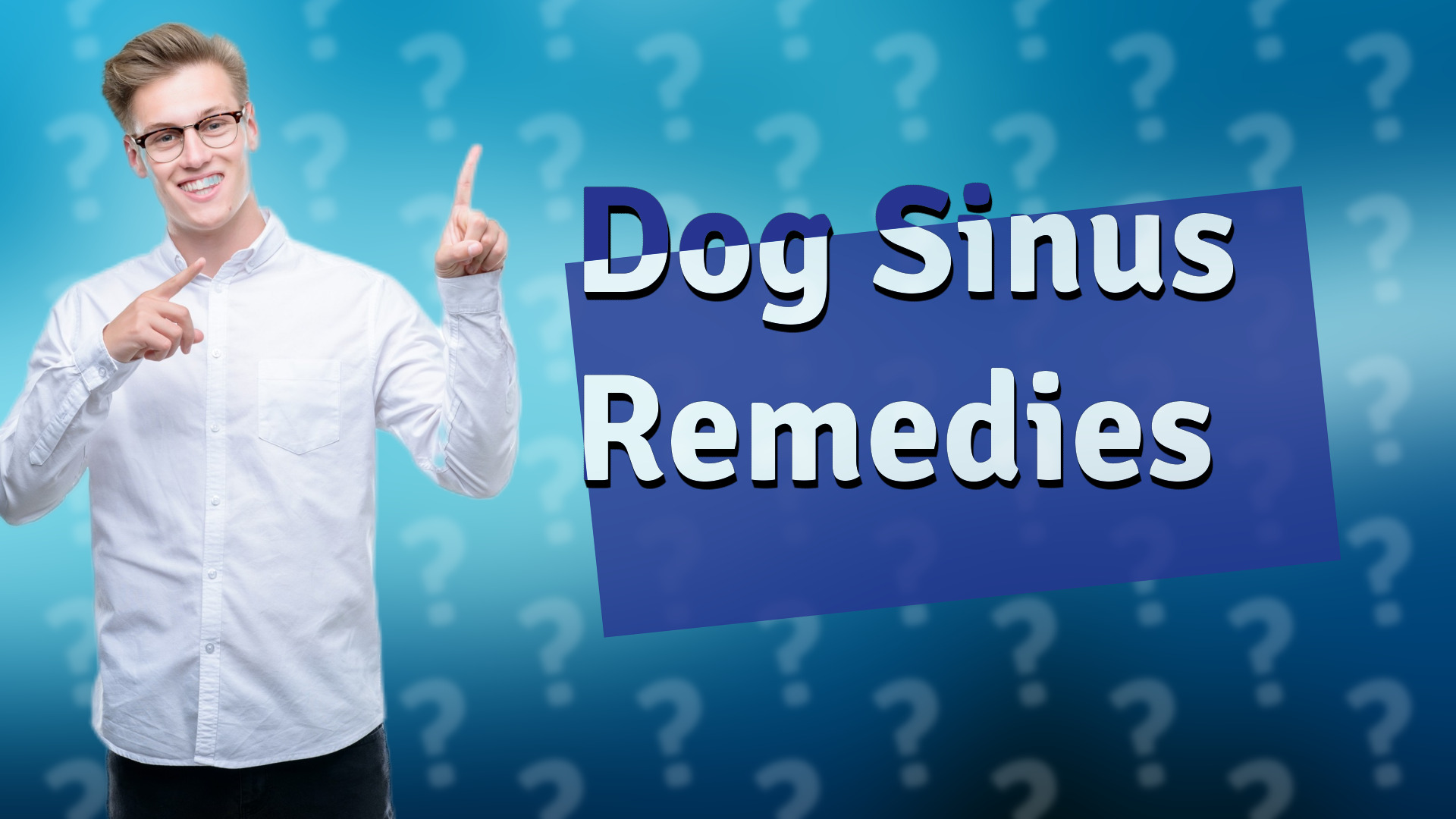 Dog Sinus Remedies