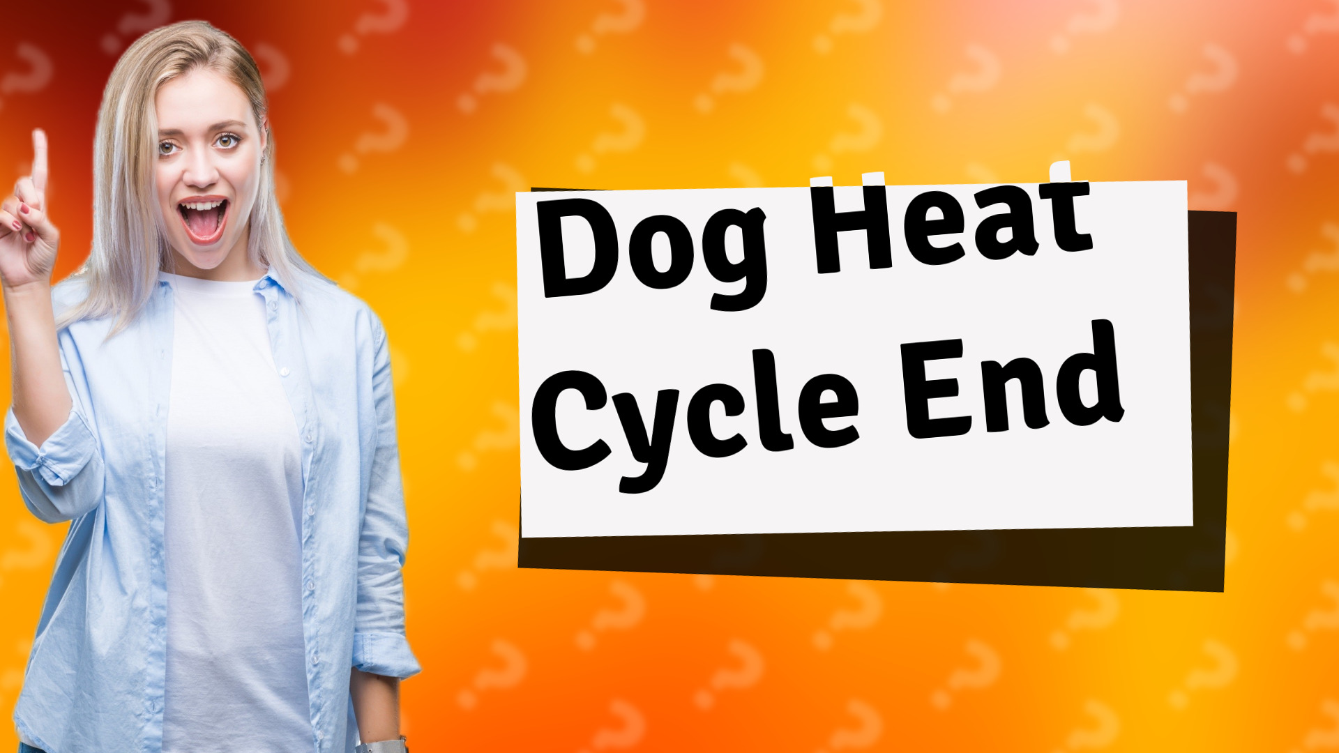 Dog Heat Cycle End