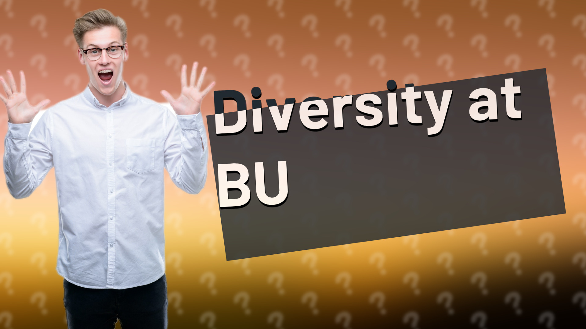 Diversity at BU