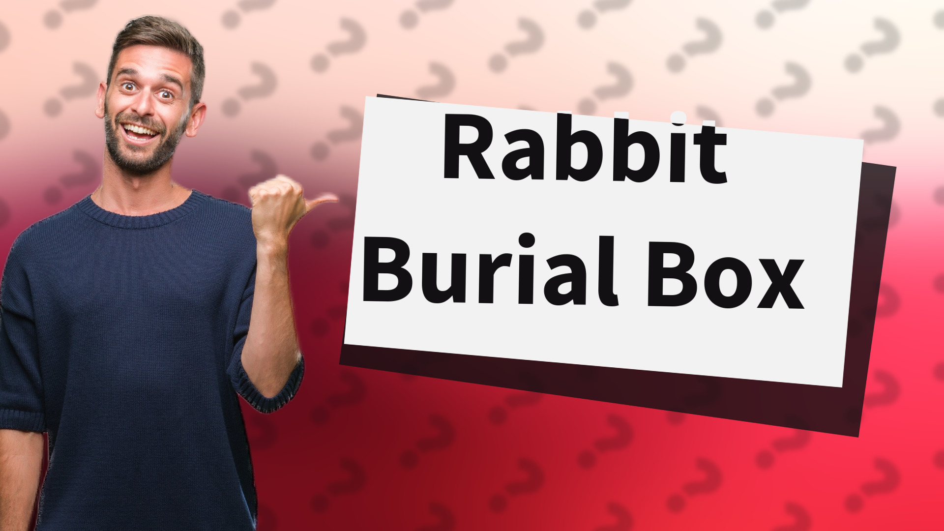 Rabbit Burial Box