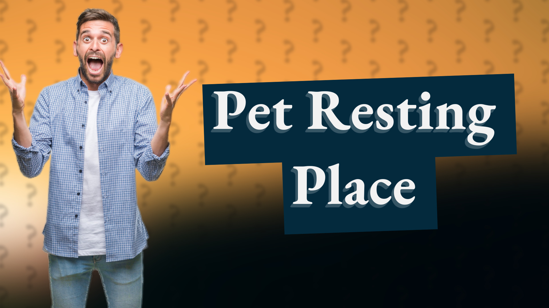 Pet Resting Place