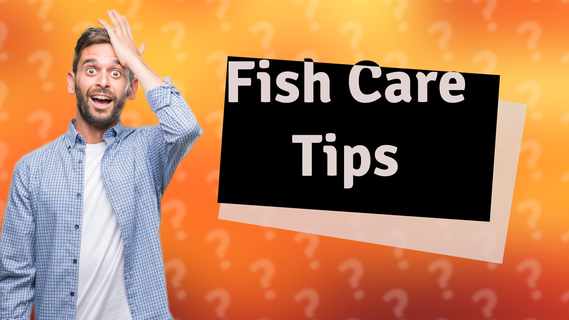 Fish Care Tips