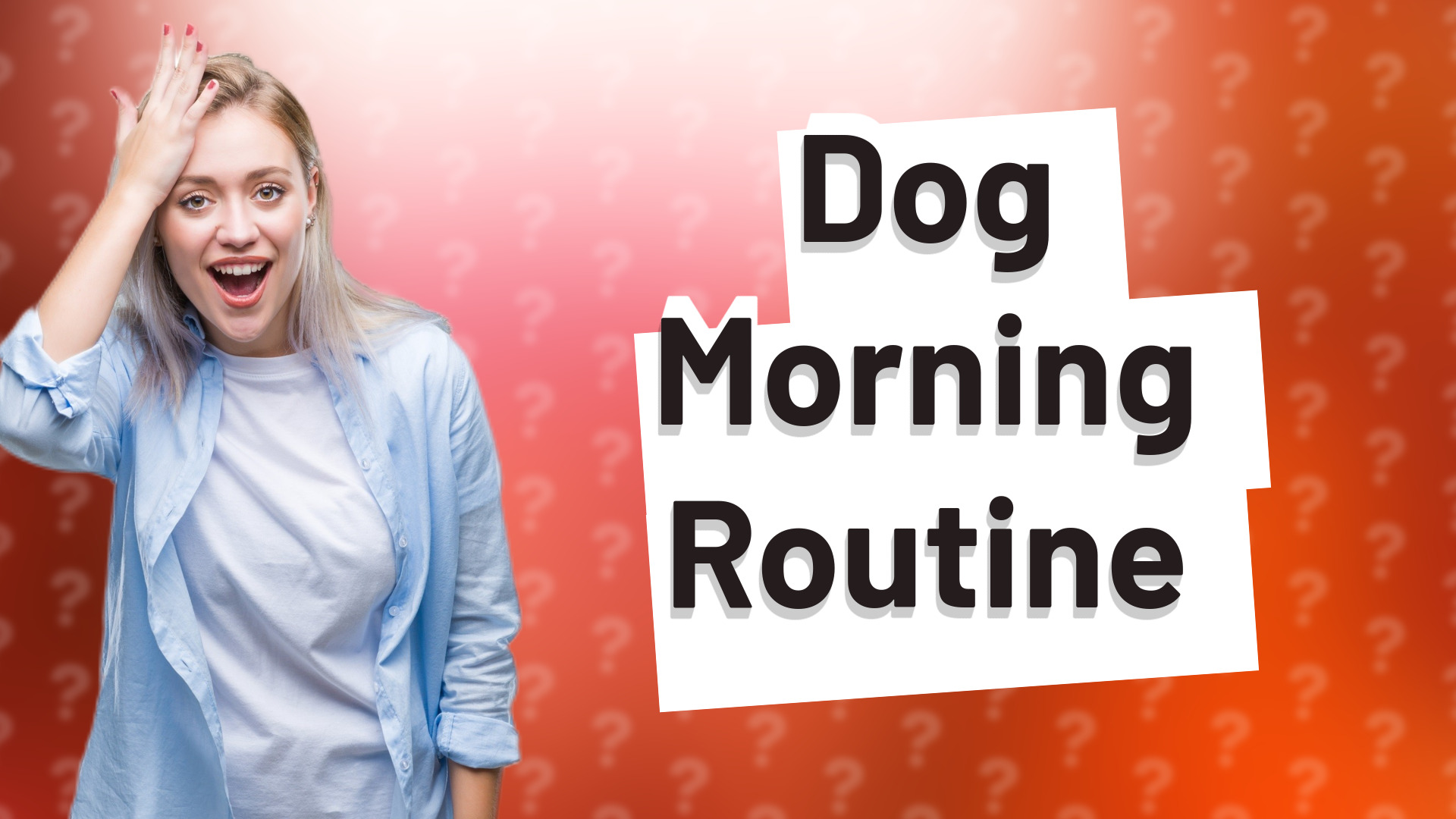 Dog Morning Routine