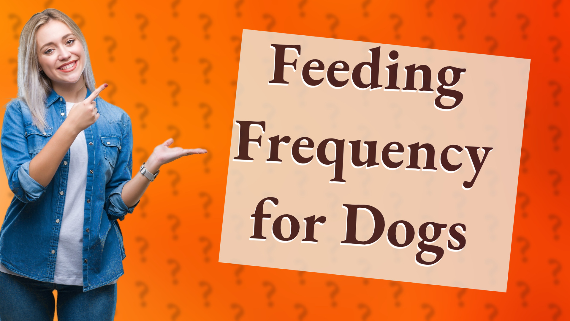 Feeding Frequency for Dogs