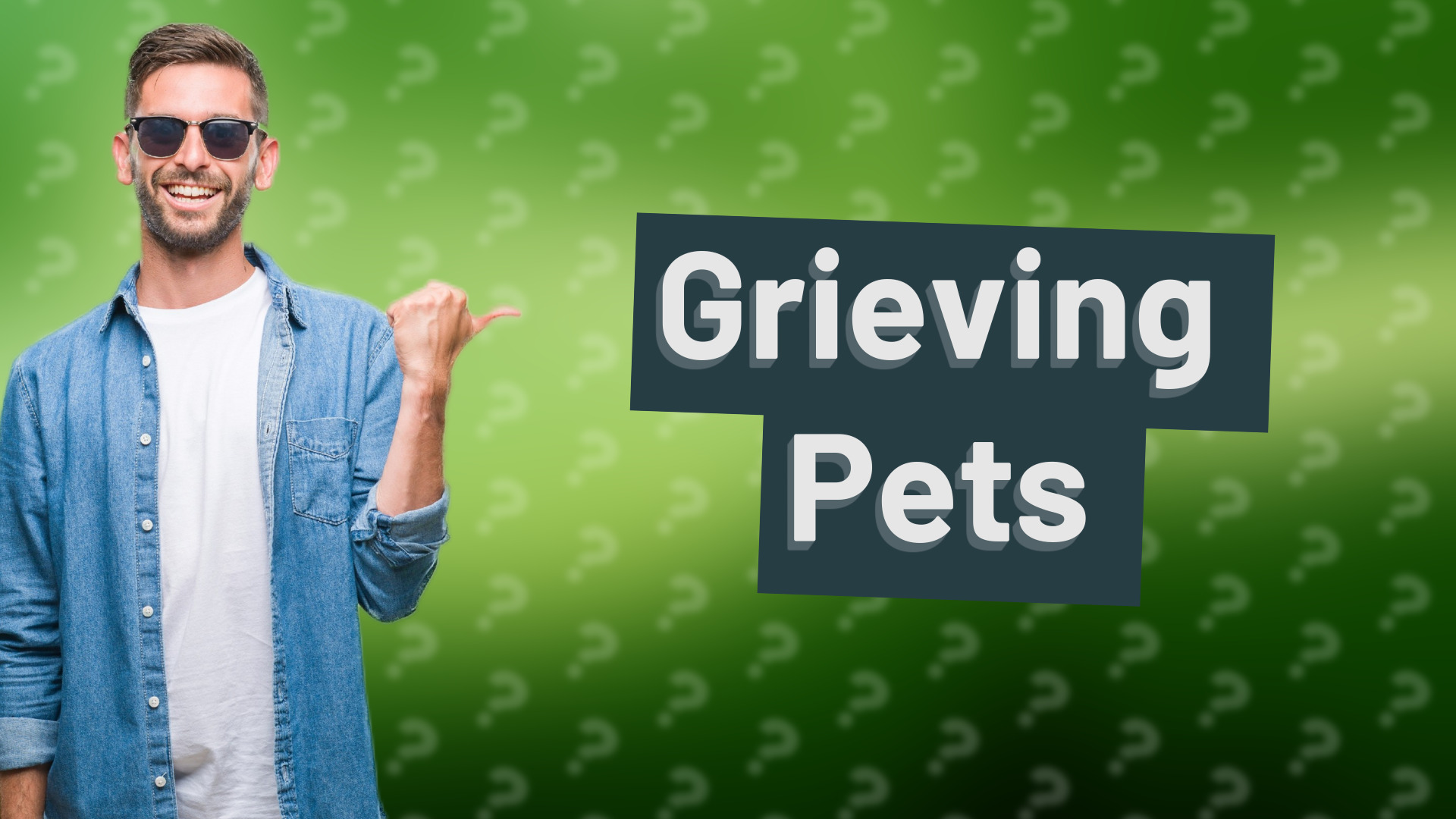 Grieving Pets