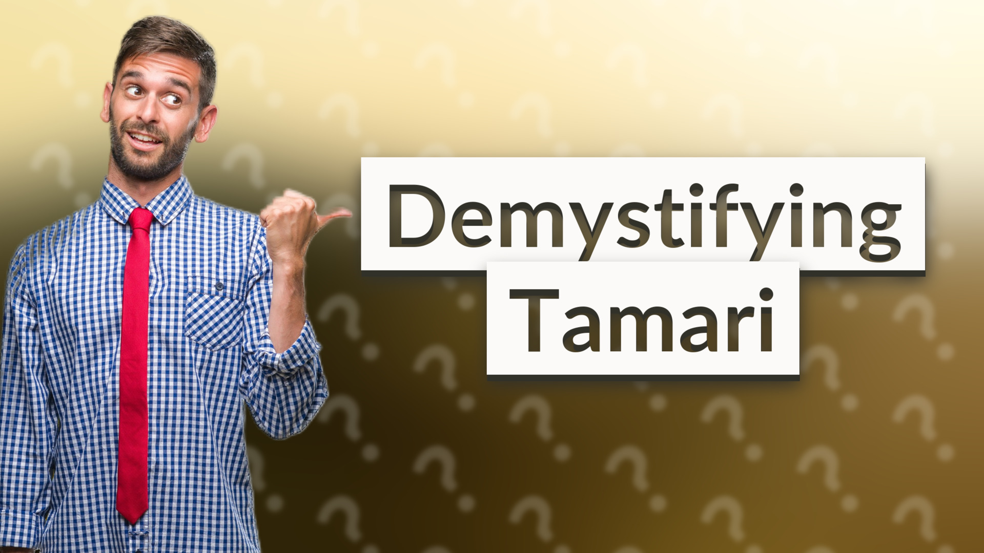 Demystifying Tamari