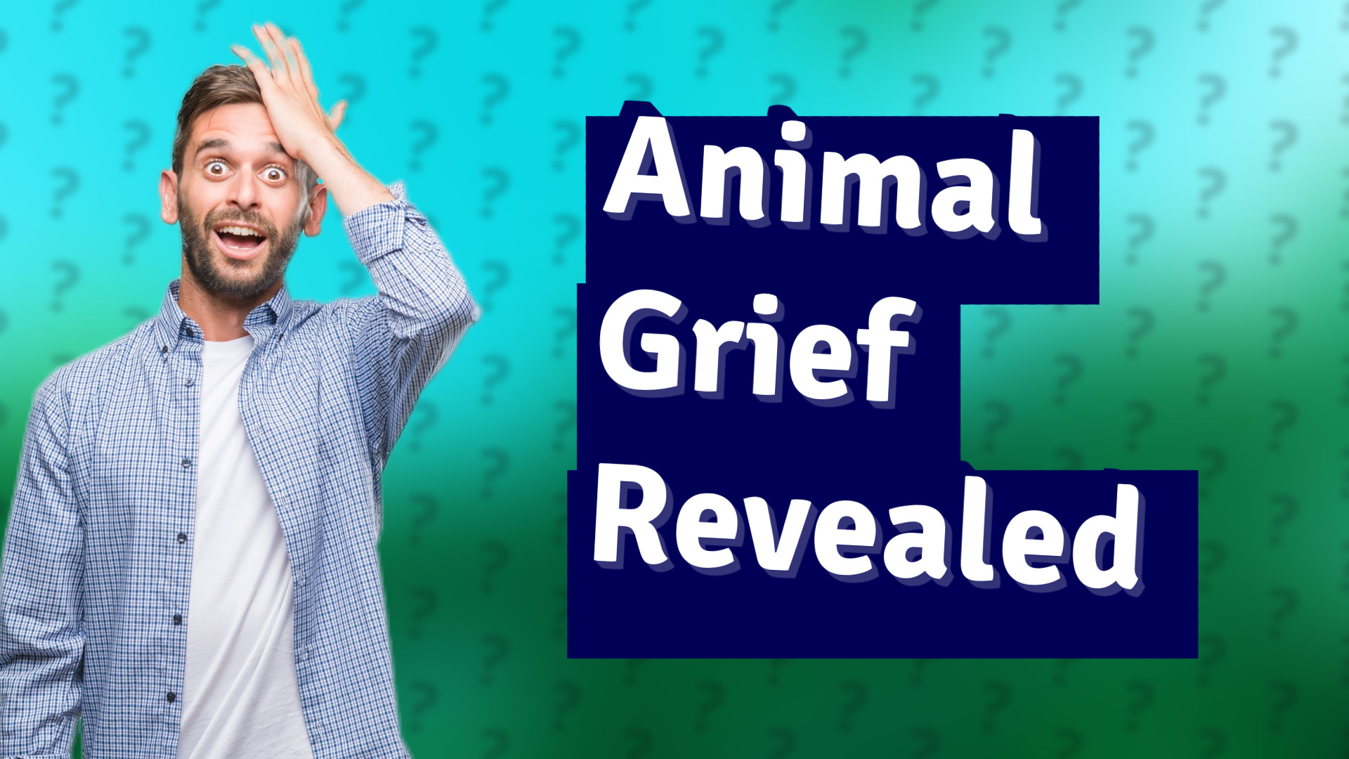 Animal Grief Revealed