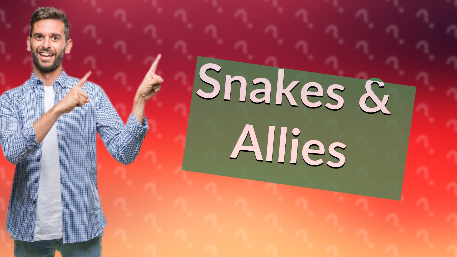 Snakes & Allies
