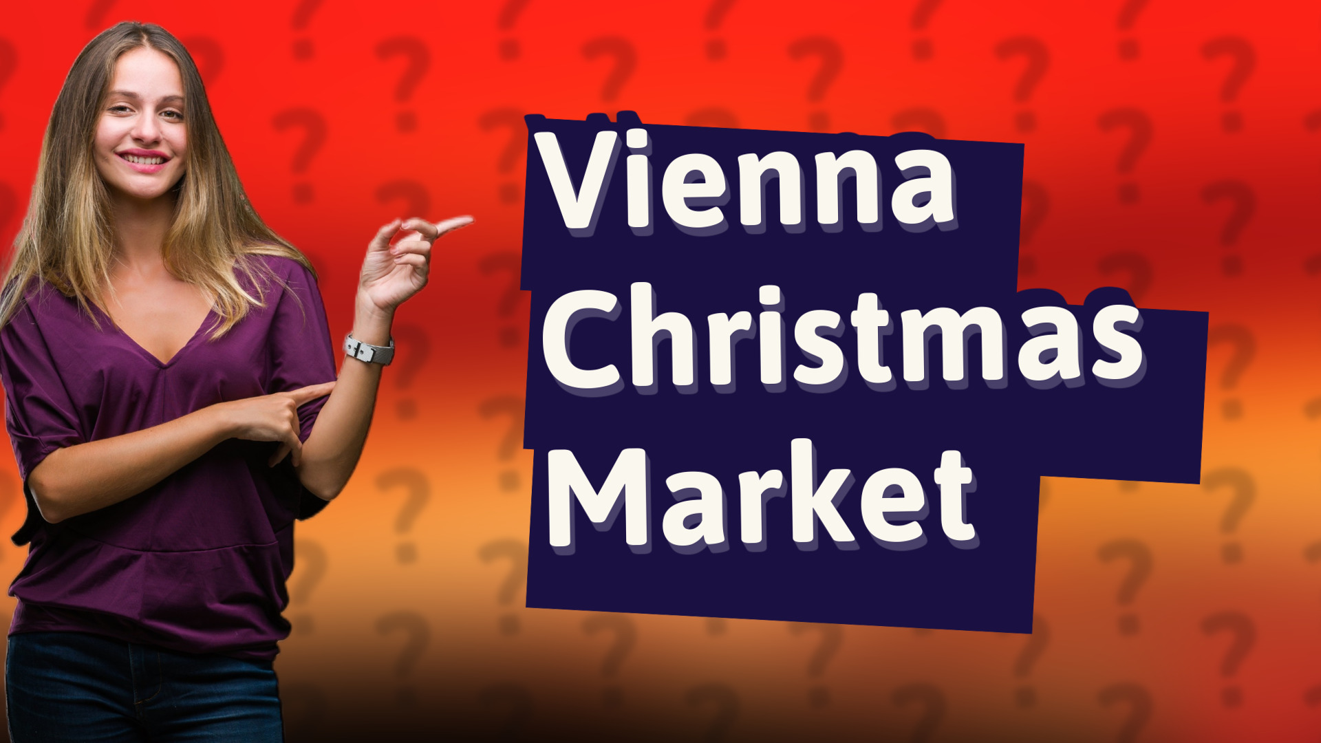 Vienna Christmas Market