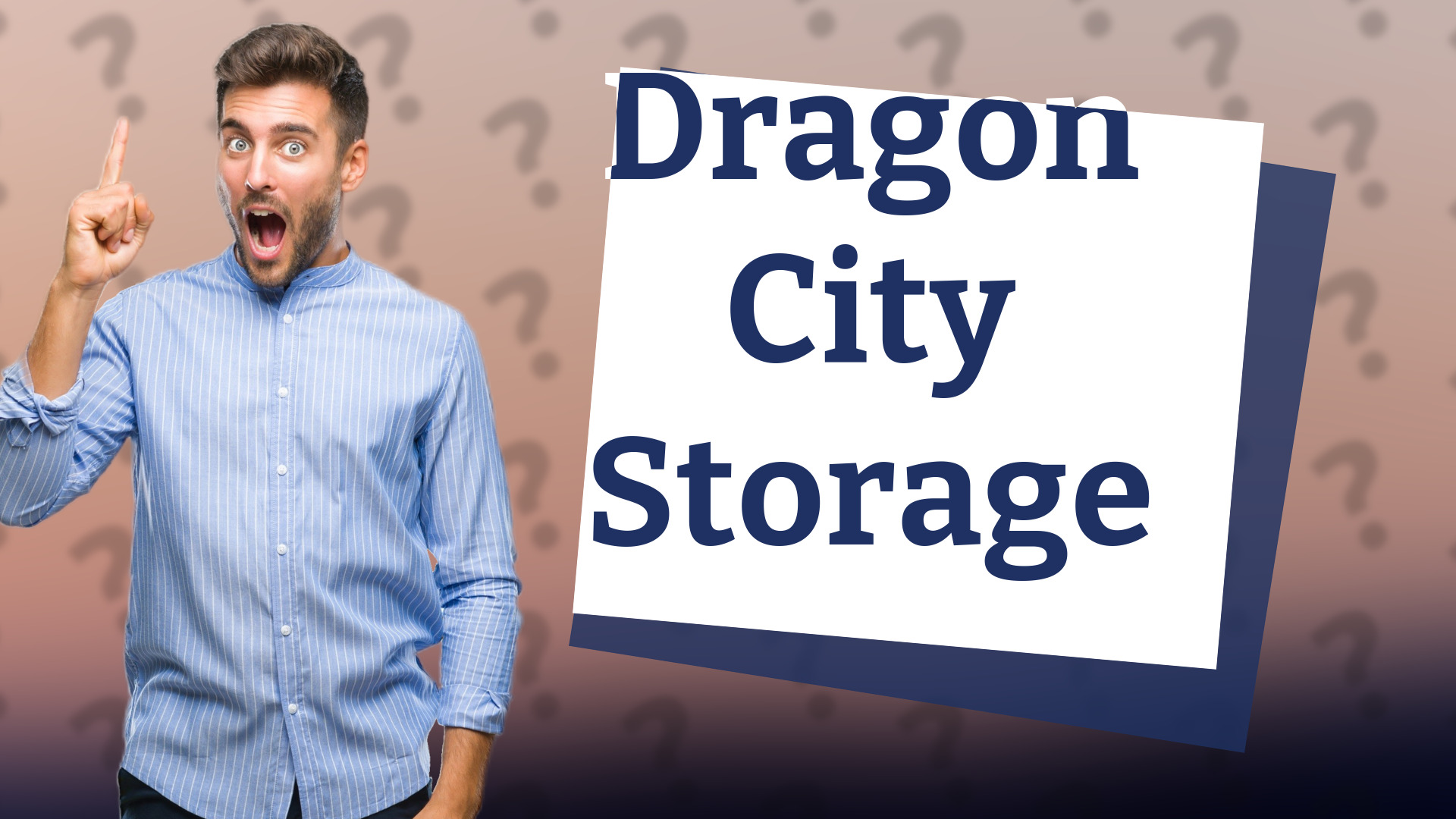 Dragon City Storage