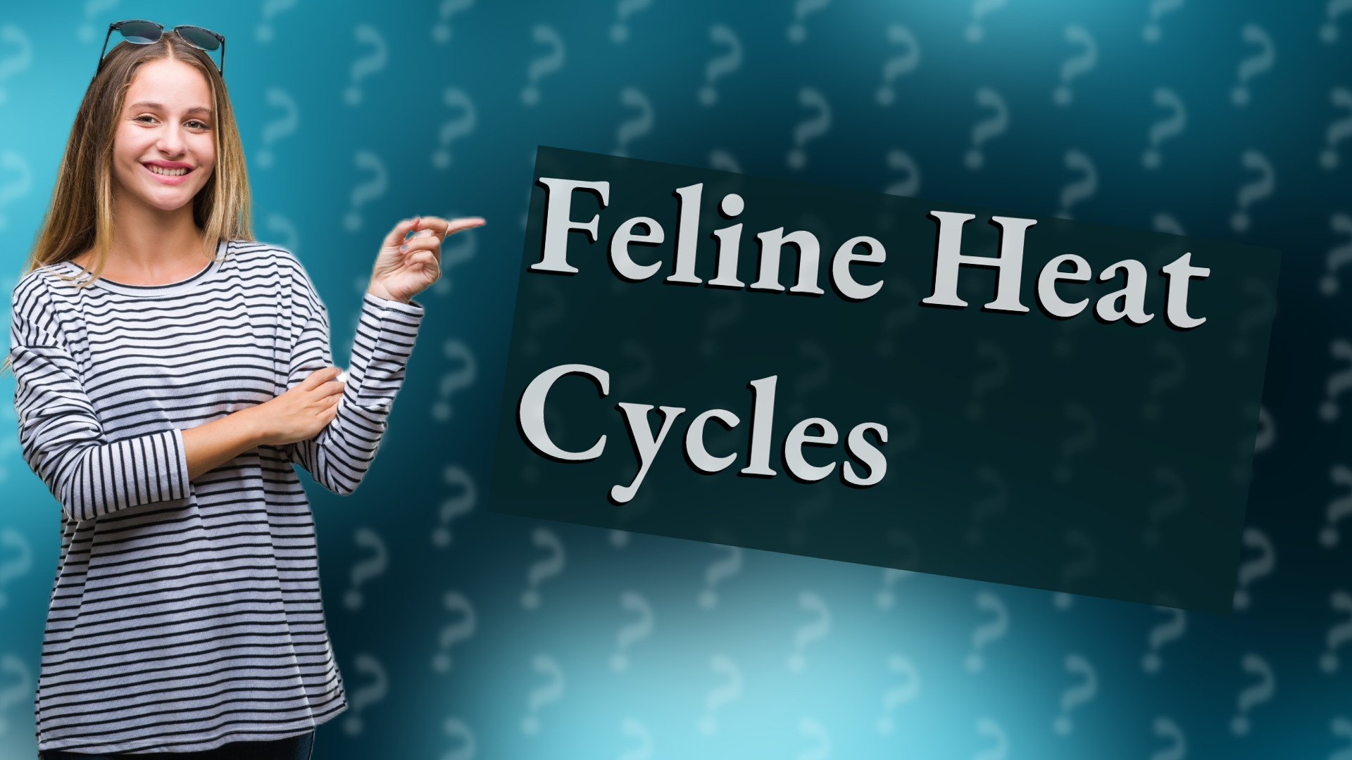 Feline Heat Cycles