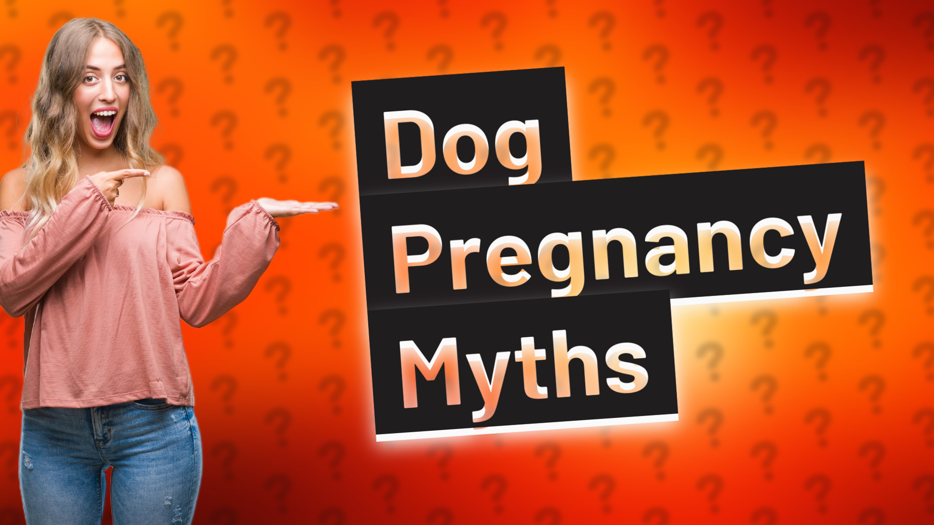 Dog Pregnancy Myths