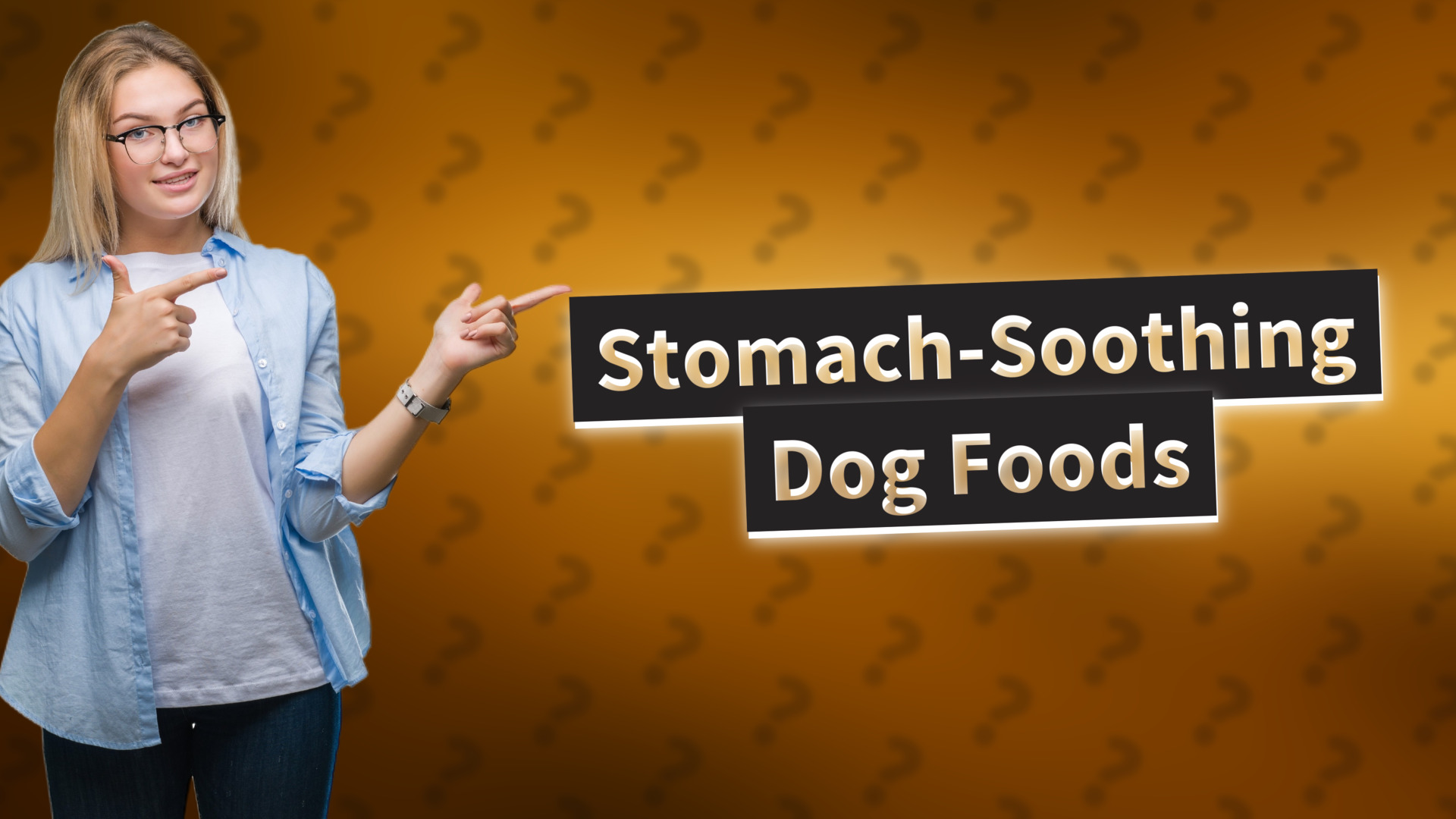 Stomach-Soothing Dog Foods