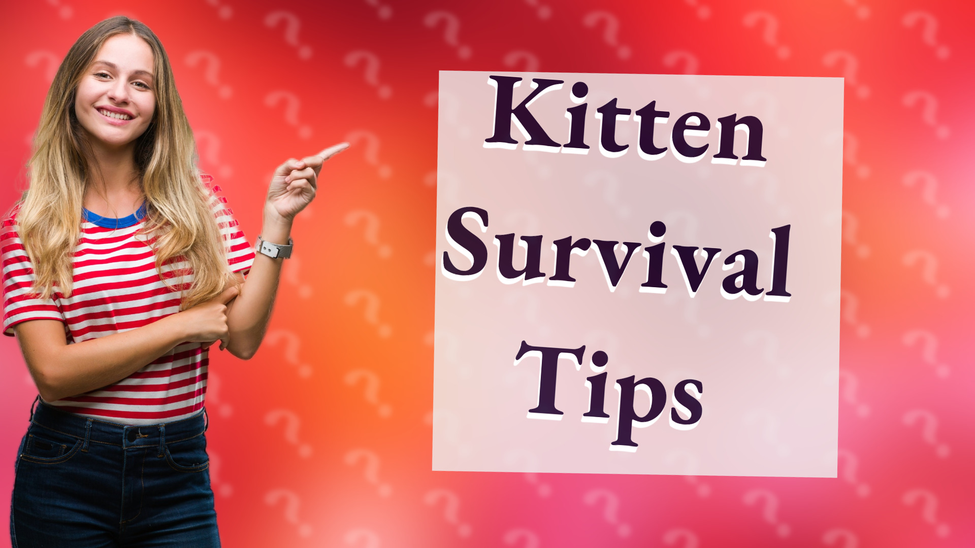 Kitten Survival Tips