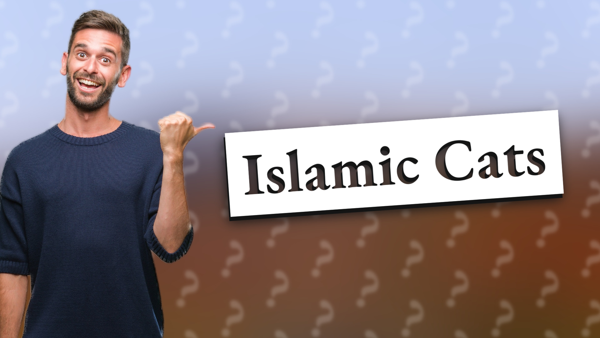 Islamic Cats