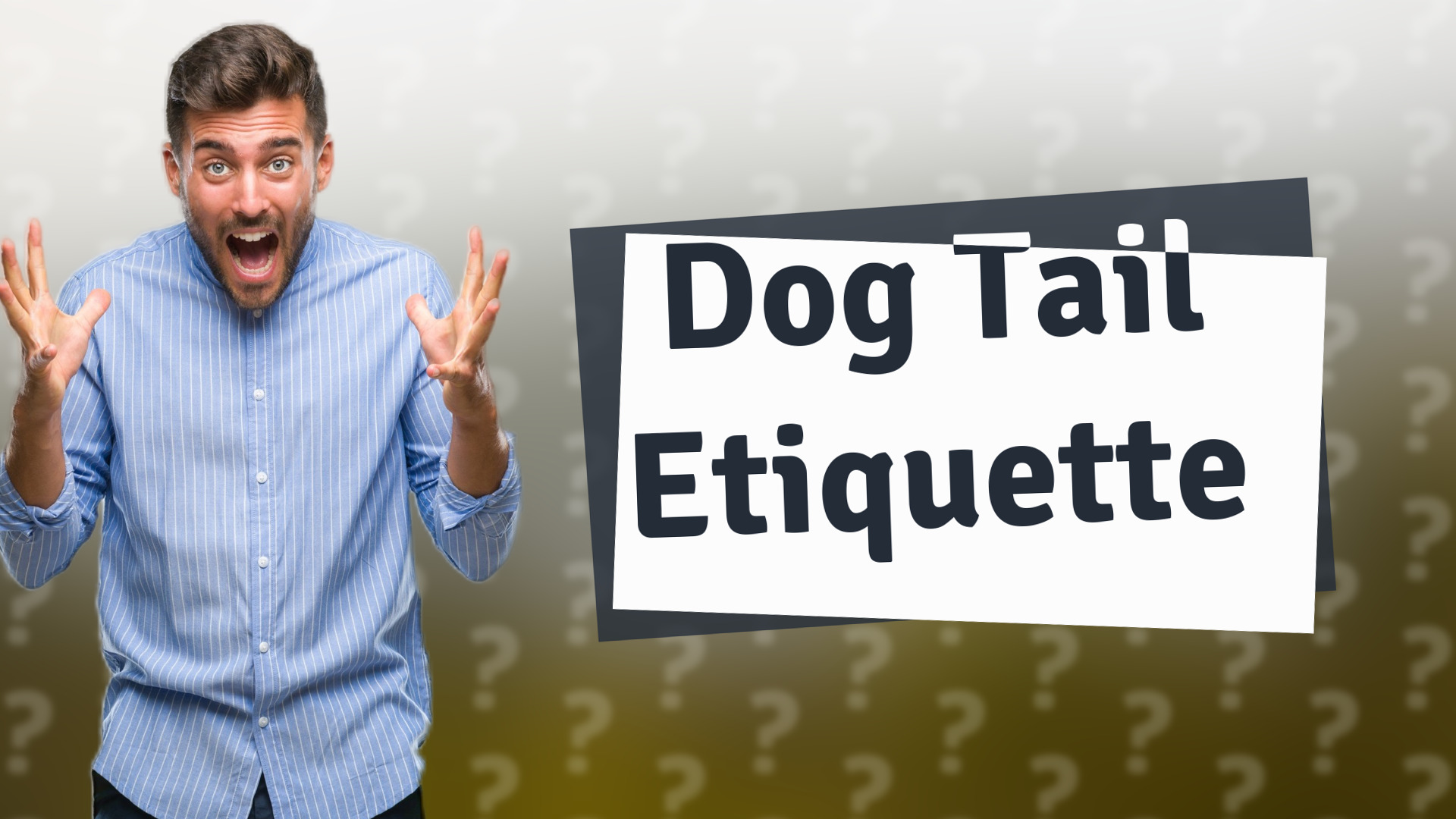 Dog Tail Etiquette