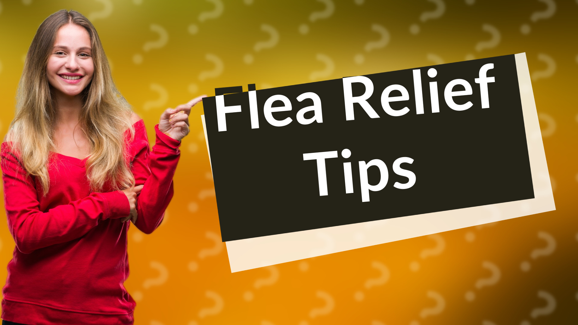Flea Relief Tips