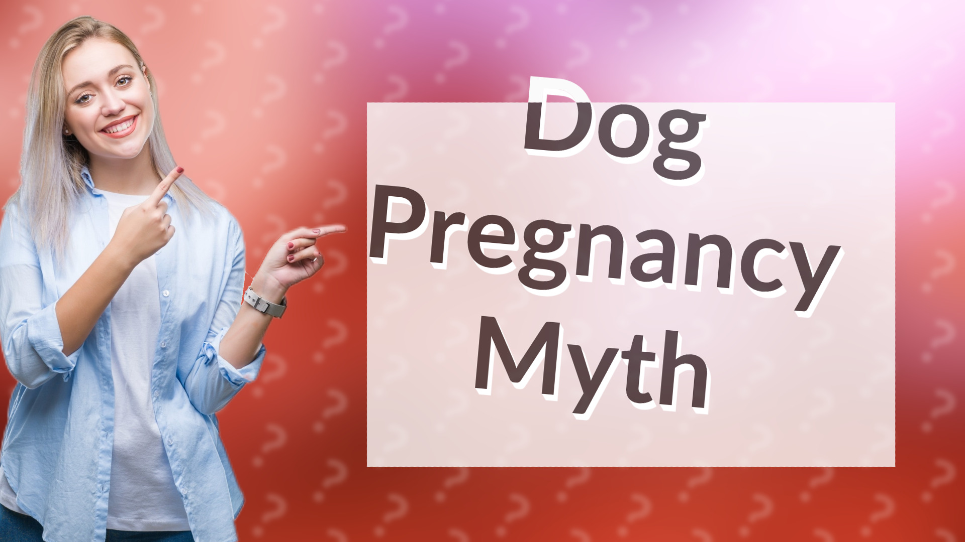 Dog Pregnancy Myth