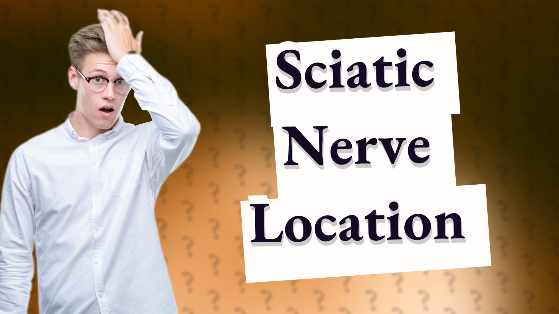 Sciatic Nerve Location