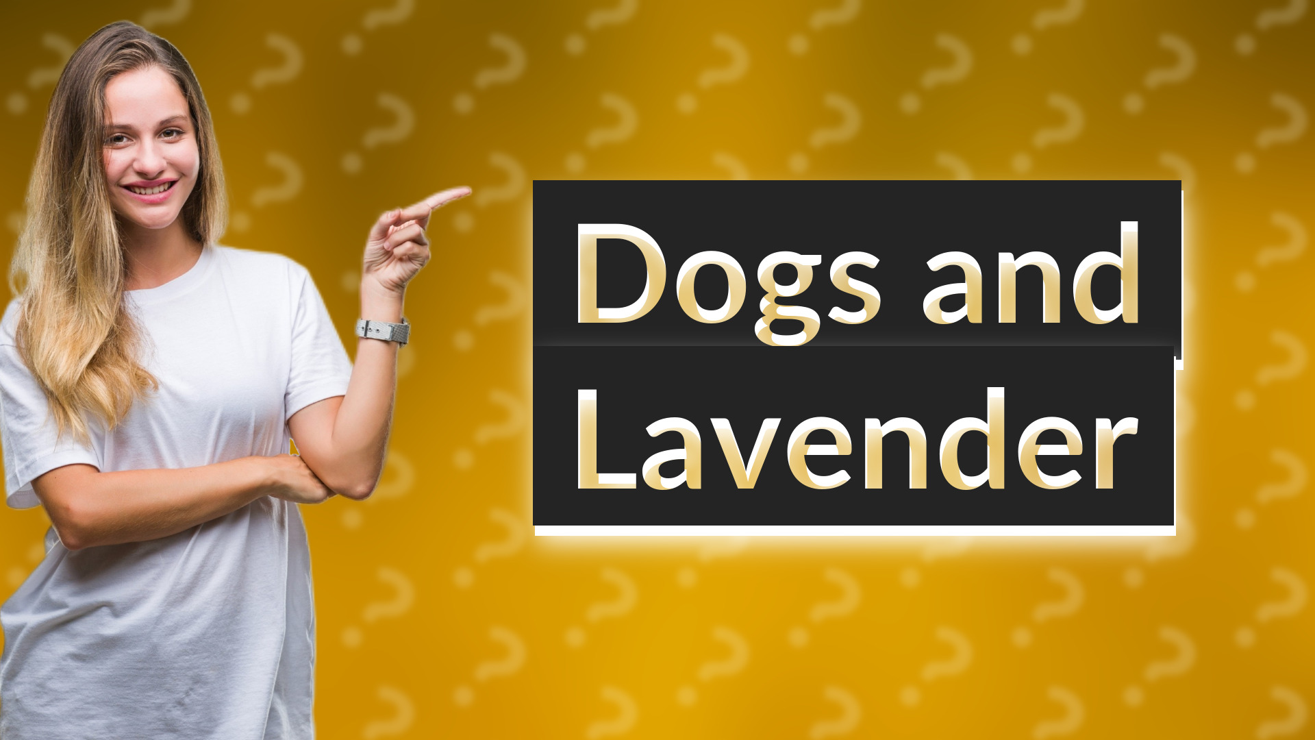 Dogs and Lavender