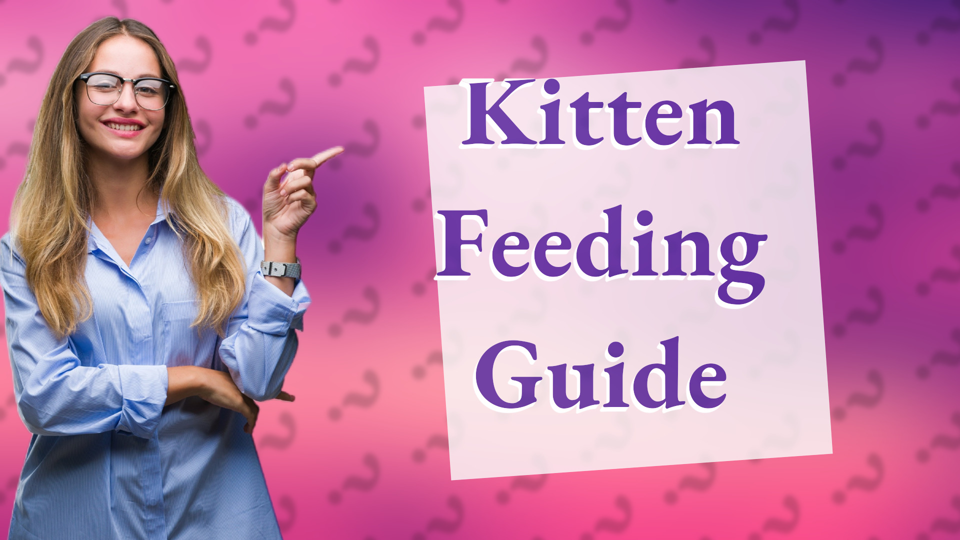 Kitten Feeding Guide
