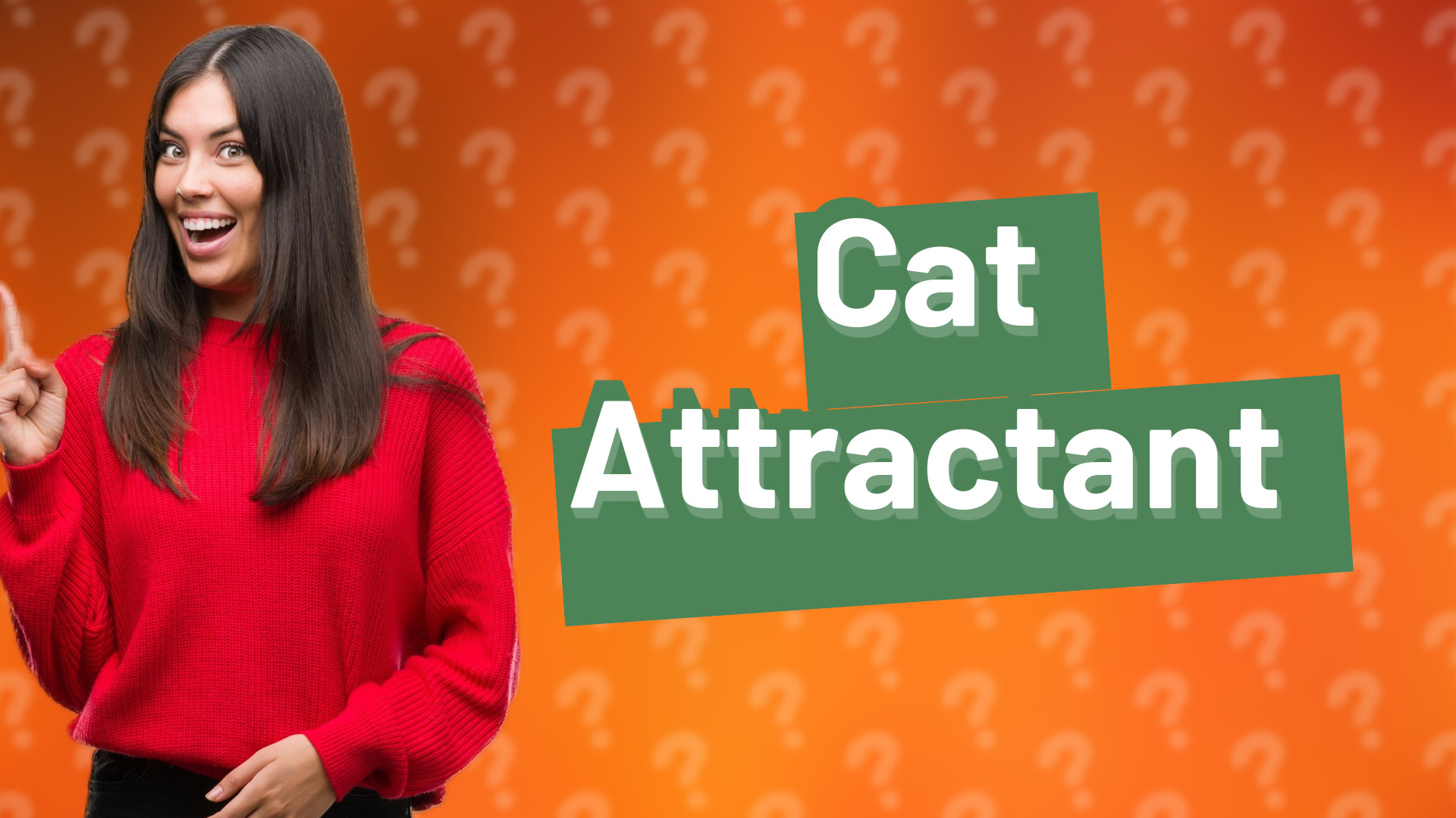 Cat Attractant