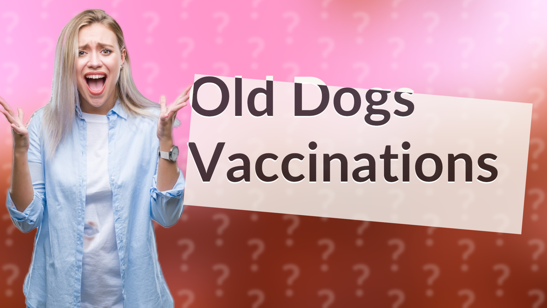 Old Dogs Vaccinations