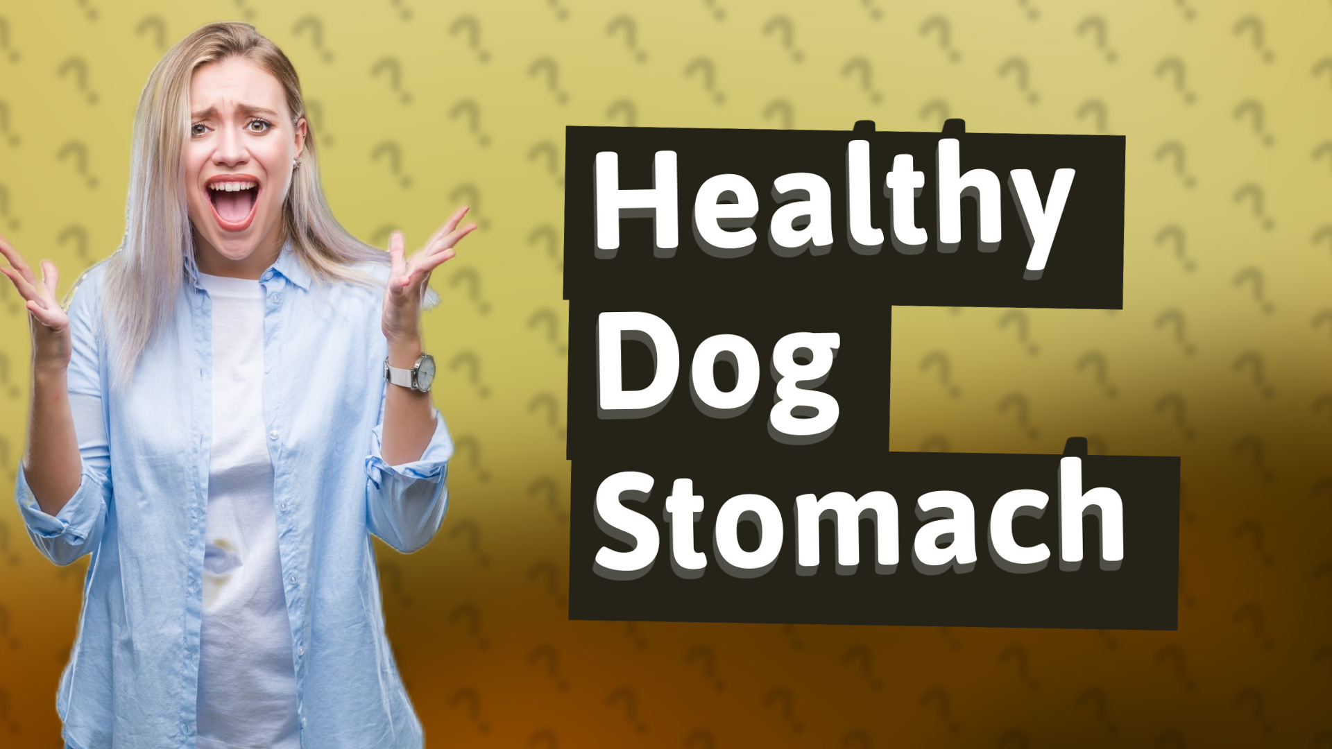 Healthy Dog Stomach