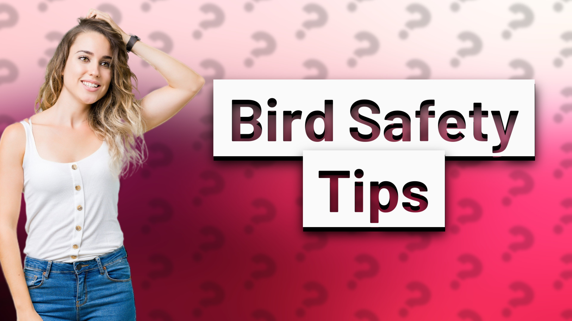 Bird Safety Tips