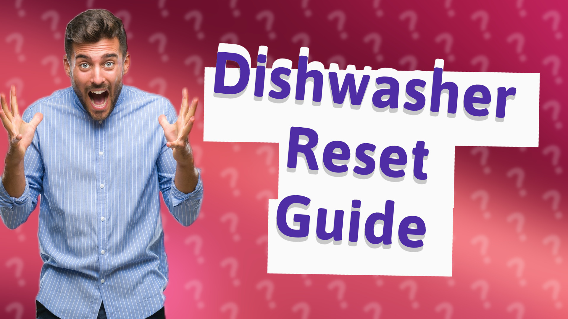 Dishwasher Reset Guide