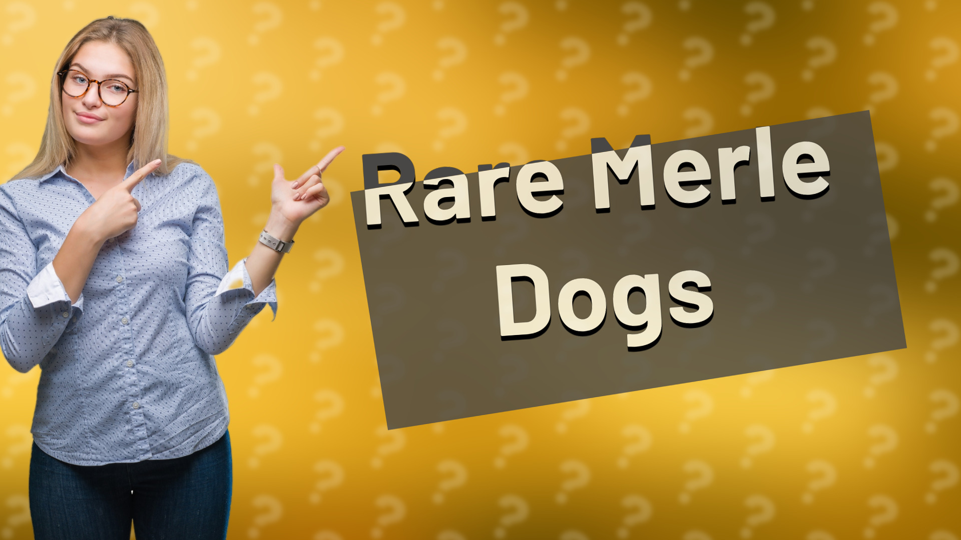 Rare Merle Dogs