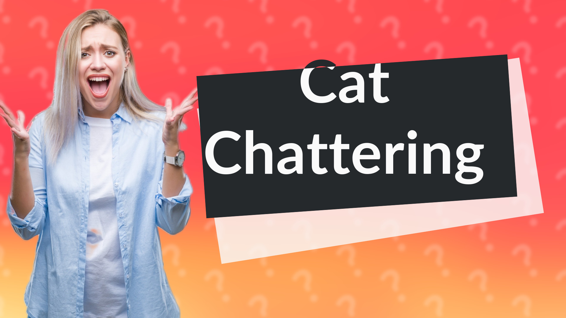 Cat Chattering