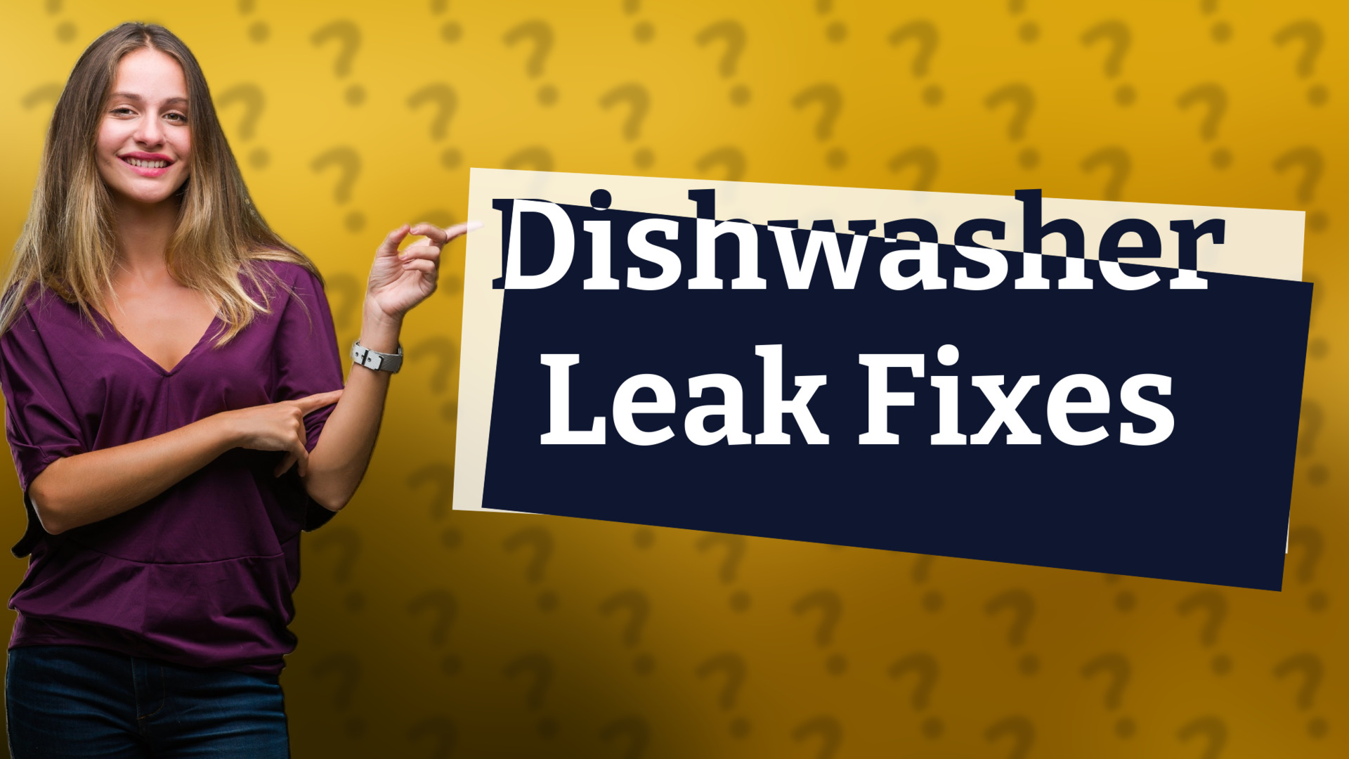 Dishwasher Leak Fixes