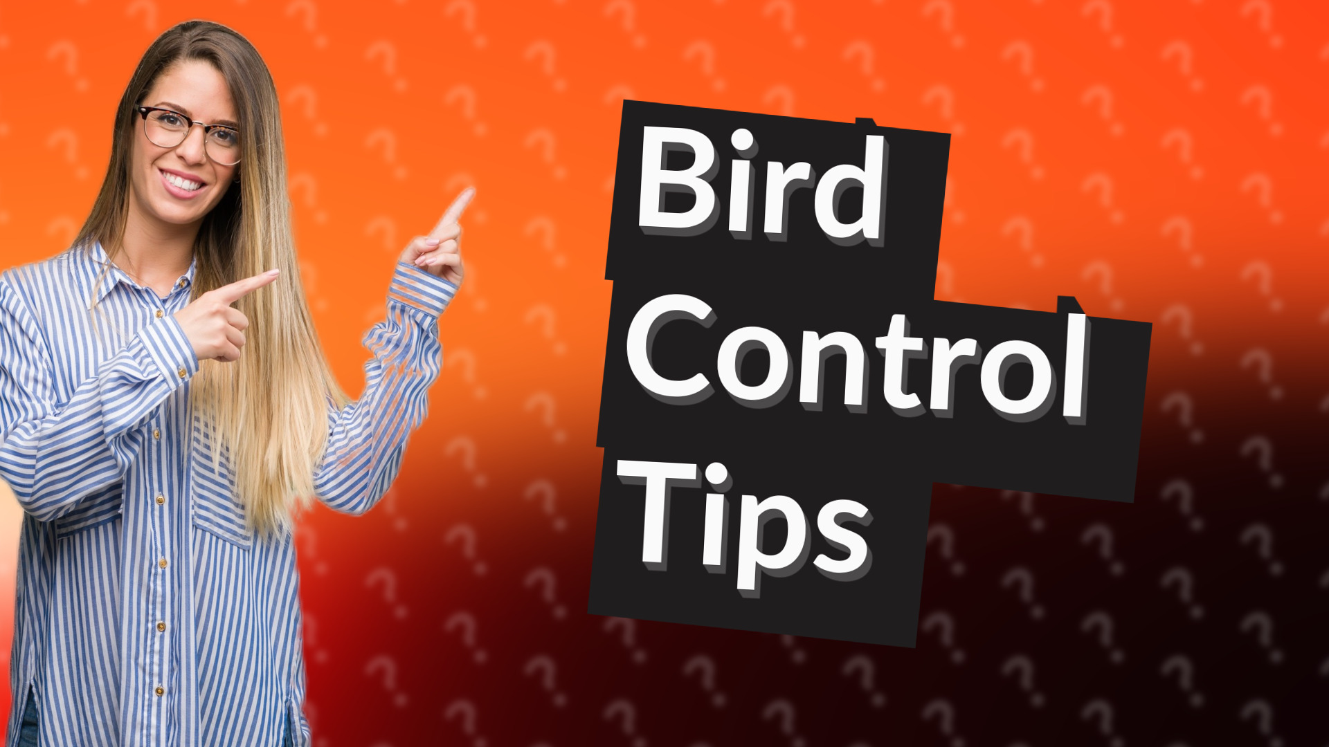 Bird Control Tips