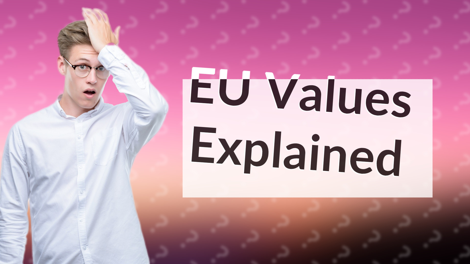 EU Values Explained