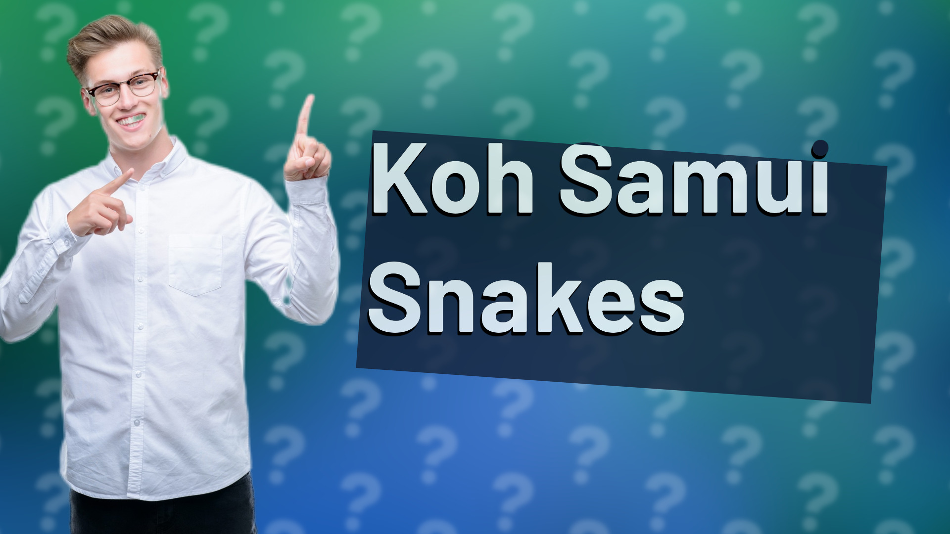 Koh Samui Snakes