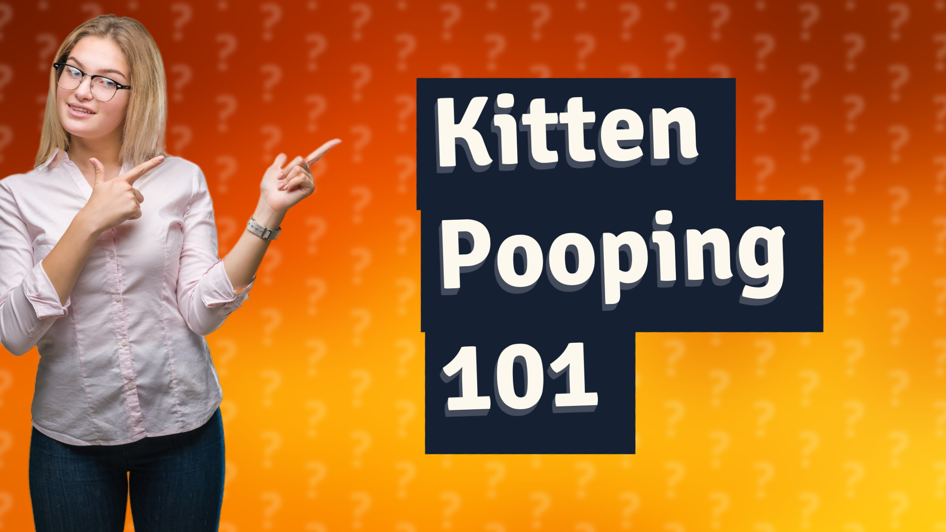 Kitten Pooping 101