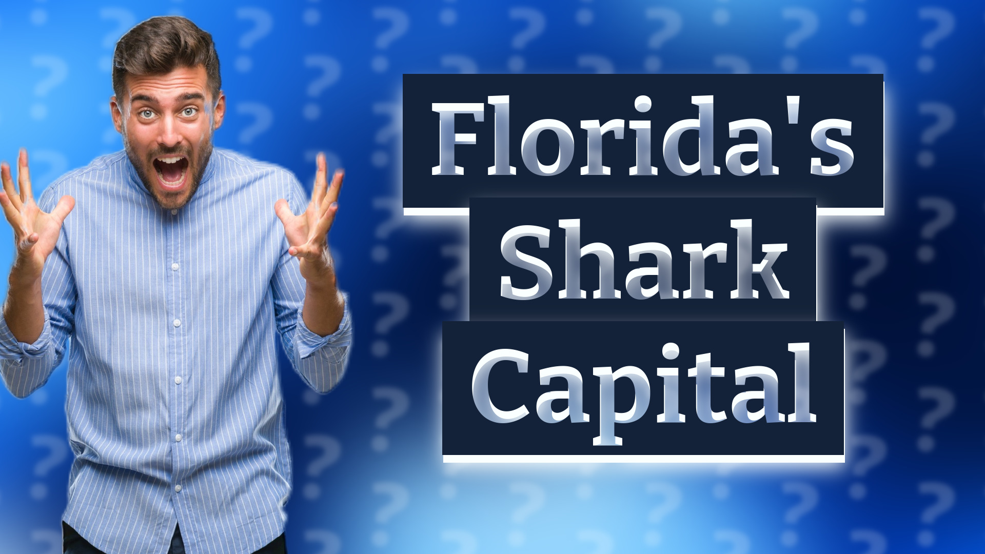 Florida's Shark Capital
