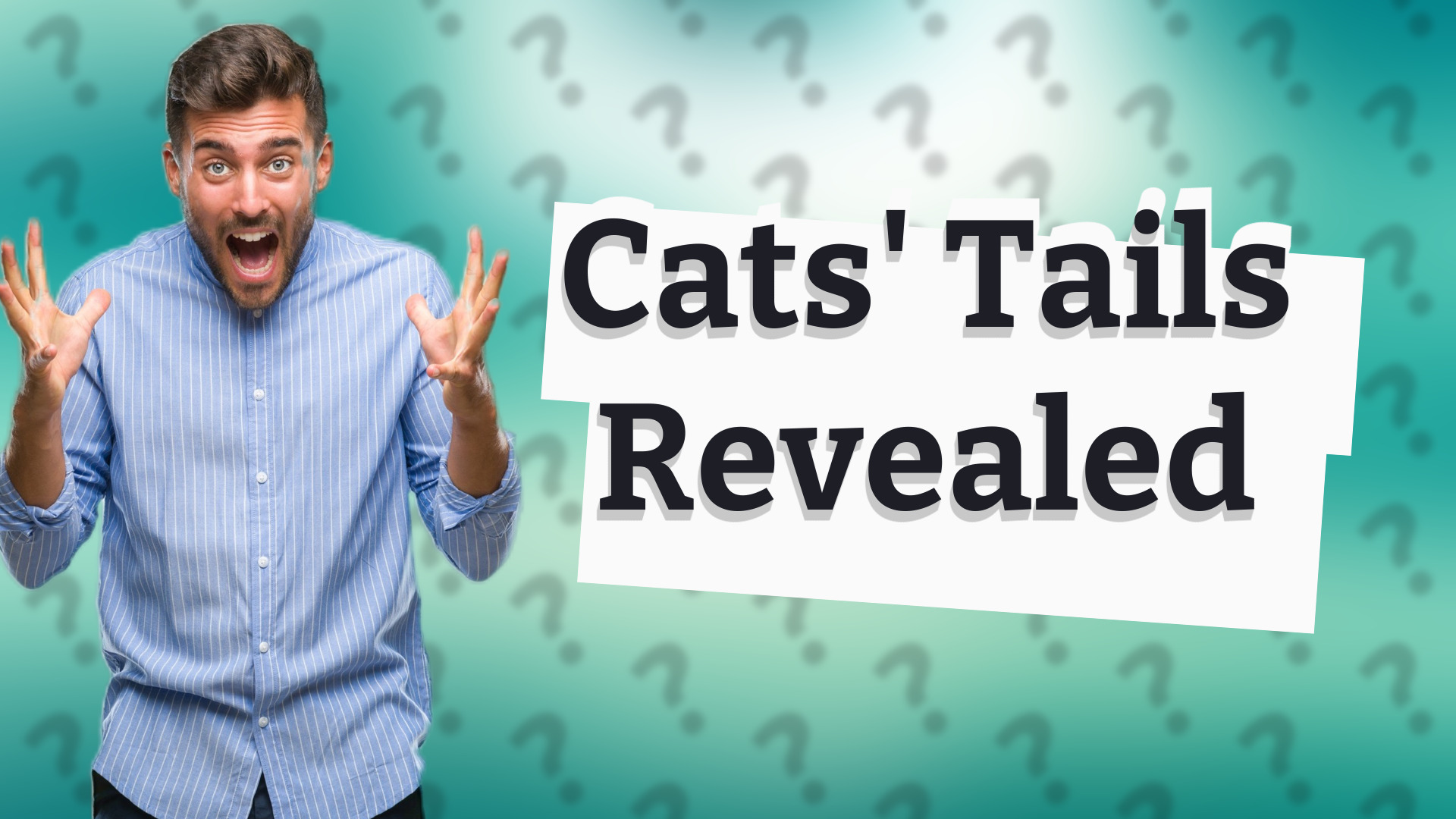 Cats' Tails Revealed