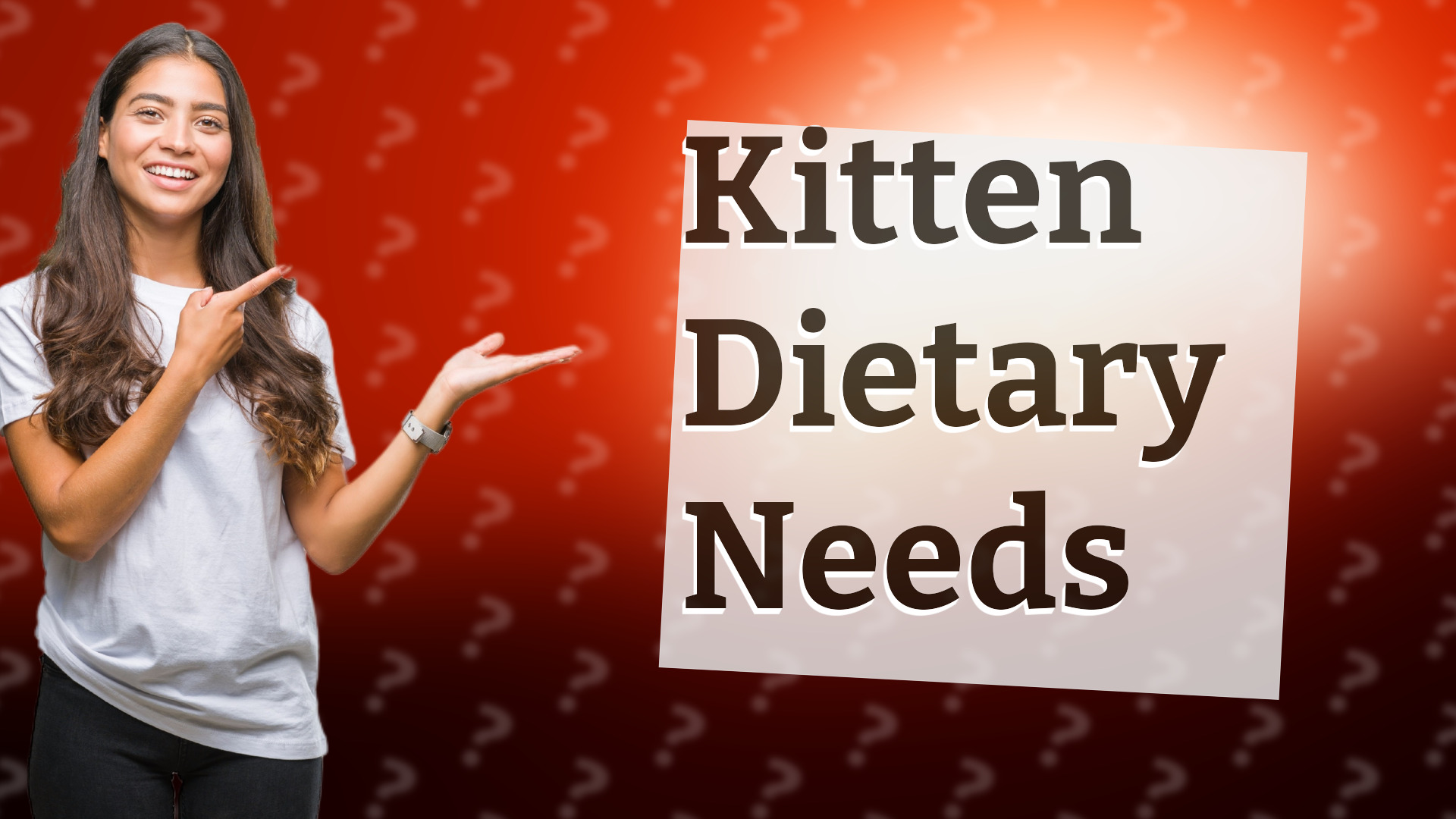 Kitten Dietary Needs