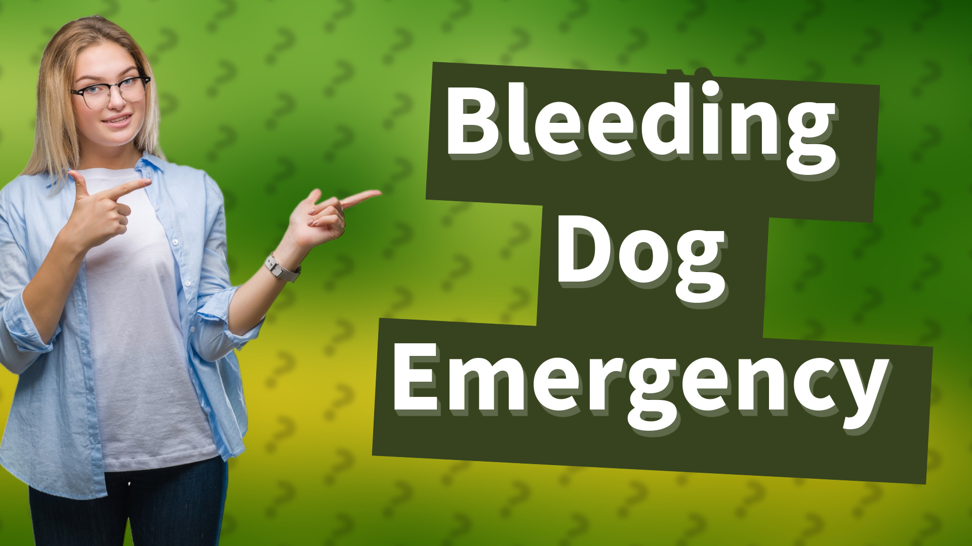 Bleeding Dog Emergency