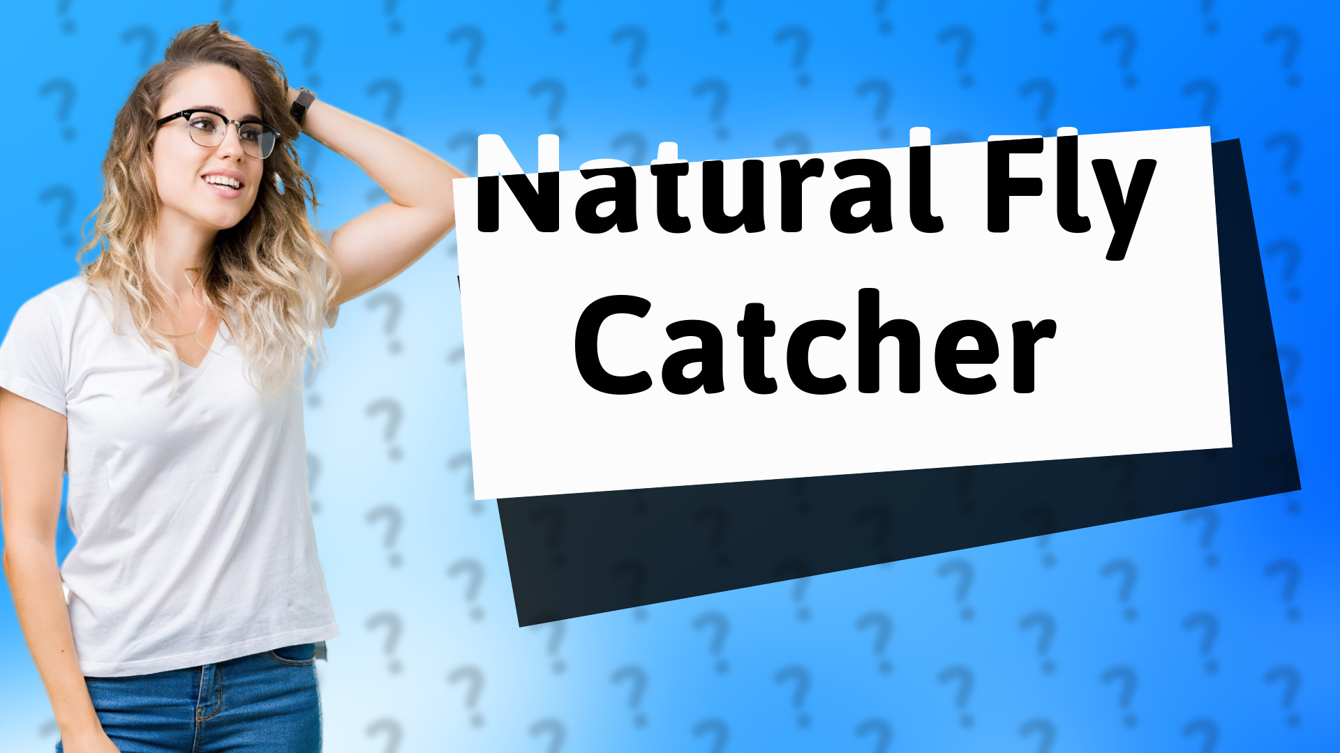 Natural Fly Catcher