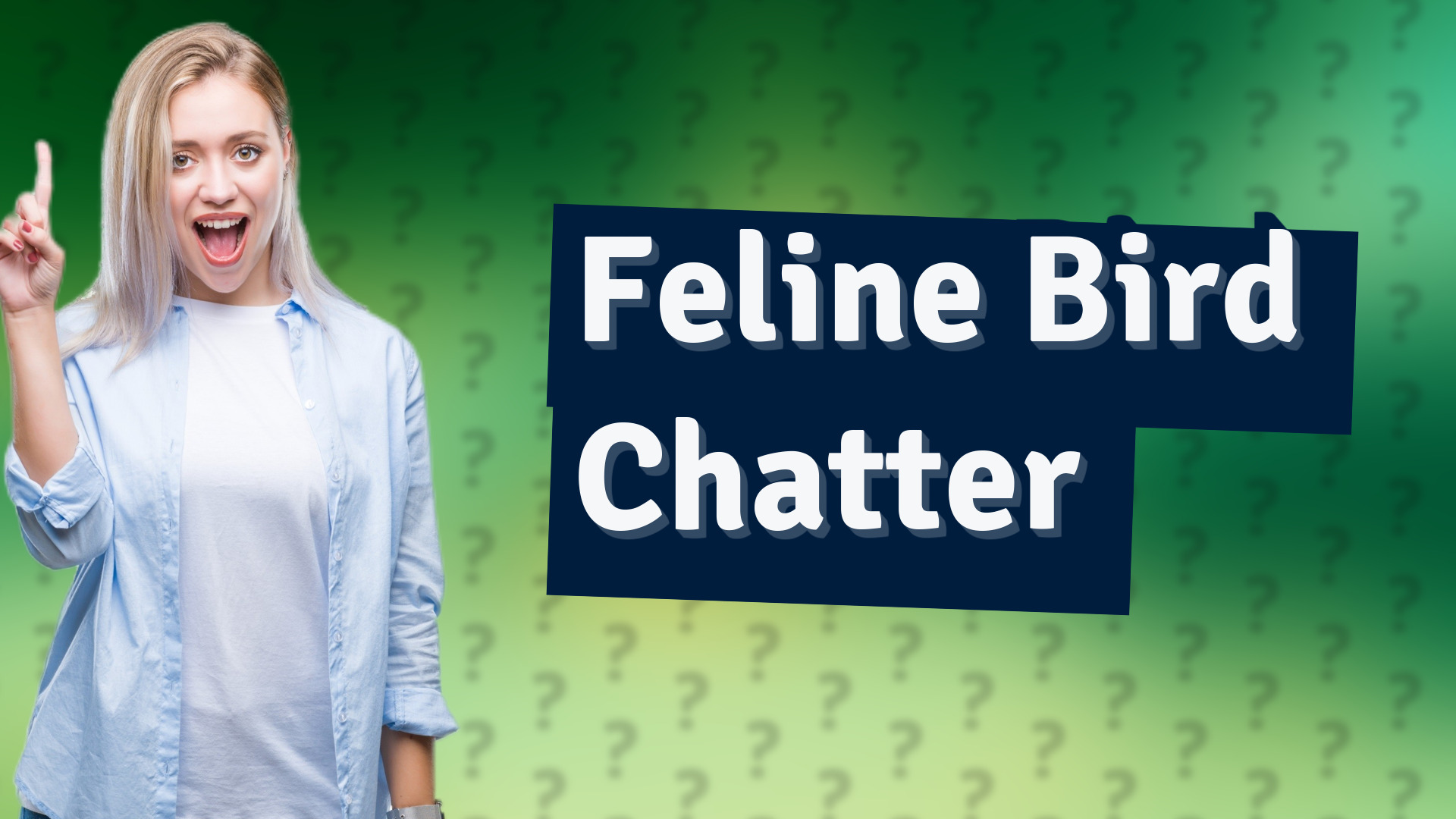 Feline Bird Chatter
