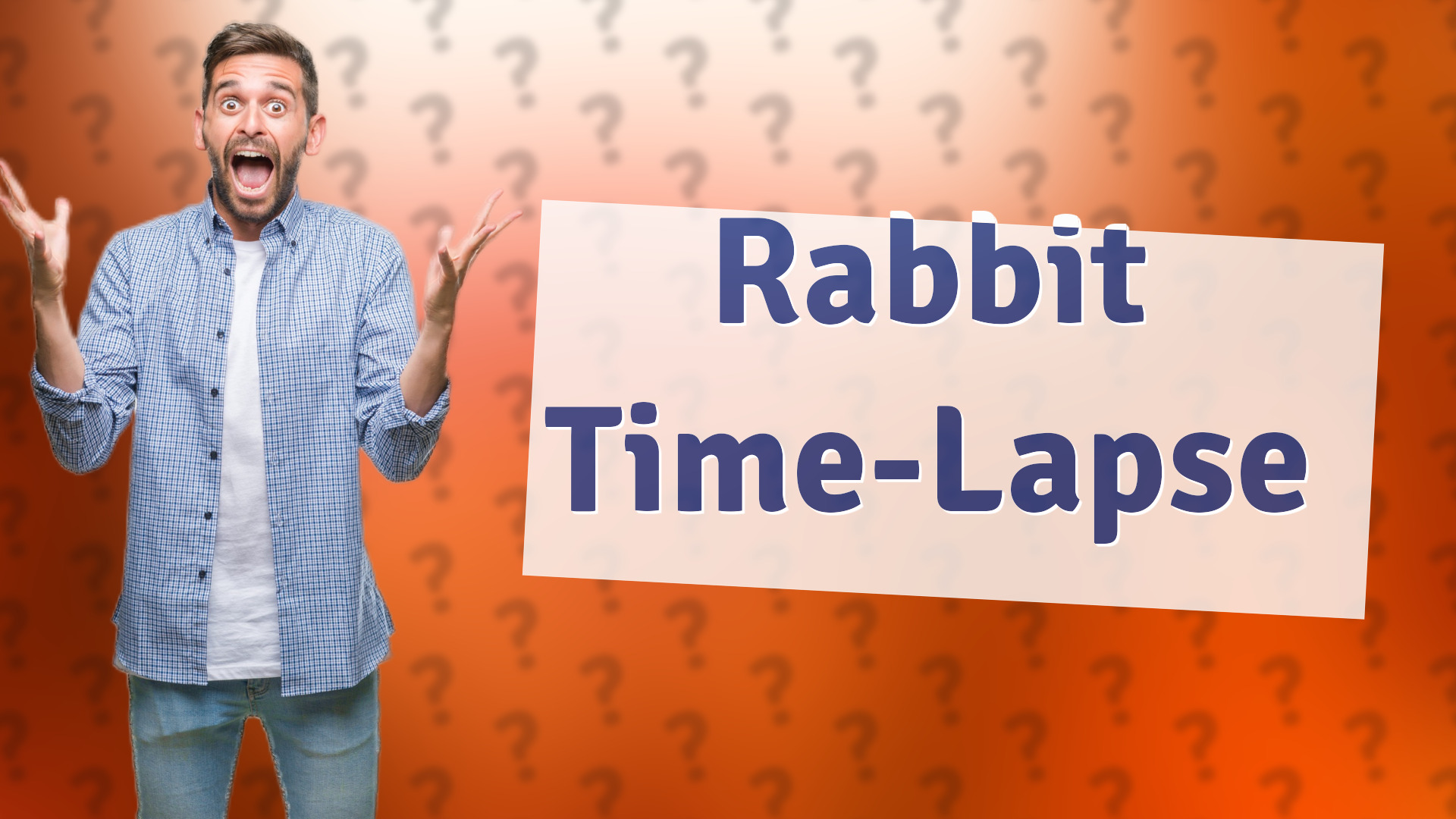 Rabbit Time-Lapse