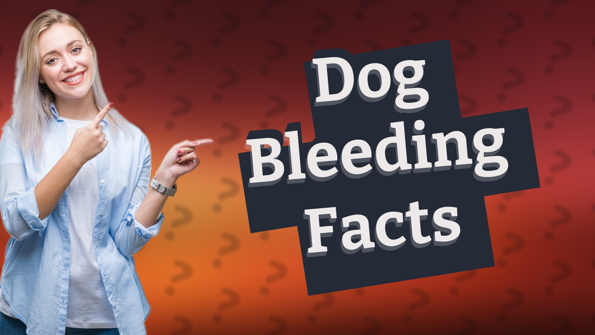 Dog Bleeding Facts