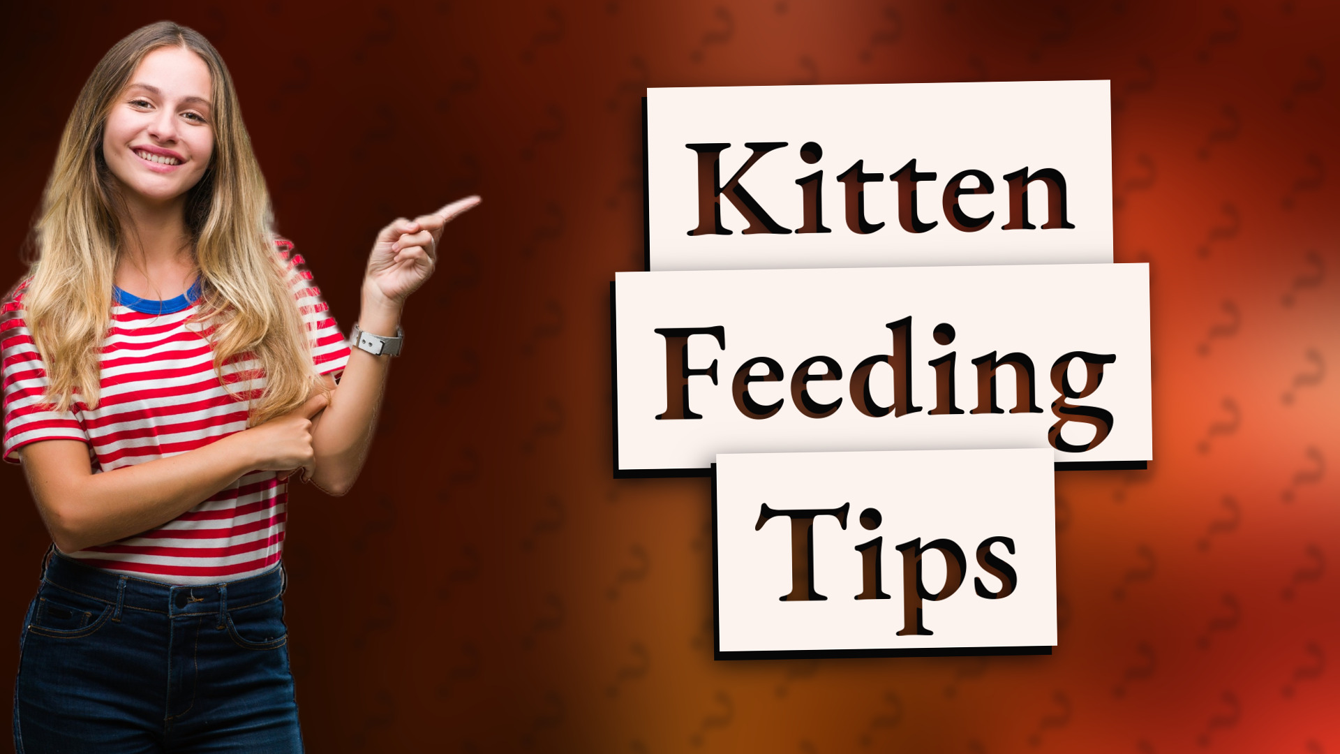 Kitten Feeding Tips